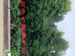 -遂昌金矿国家矿山公园