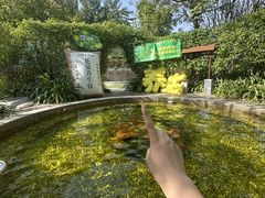 -漳州佰翔圆山酒店·圆山畔西餐厅