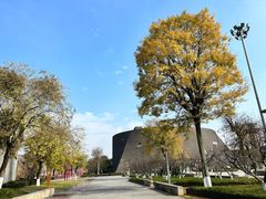 -国际非物质文化遗产博览园