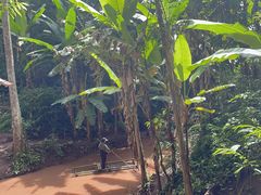 -西双版纳基诺山寨