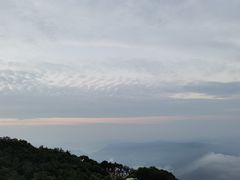 -梧桐山风景名胜区