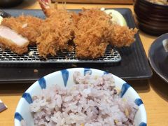 -胜博殿日式炸猪排(西红门店)