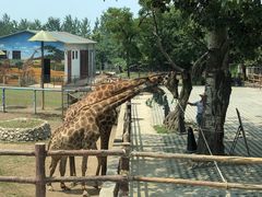 -西安秦岭野生动物园