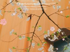 -中山公园