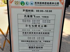 -西双版纳原始森林公园