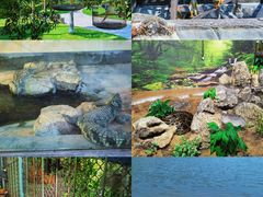 -乐和乐都主题乐园