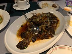 清蒸龙趸-T館·花园艺术餐厅