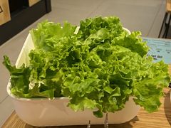 -新石器烤肉(招商1872店)