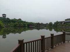 -张坝桂圆林公园