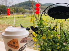 -红山村