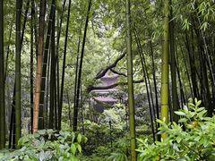 -杭州黄龙洞