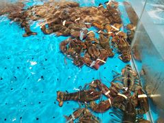 -艳阳天·非遗楚菜(武汉客厅店)