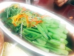 -津味老菜(露西亚商街店)