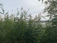 -野鸭湖国家湿地公园