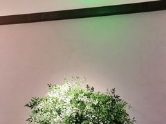 -山里亲戚(淞虹路店)