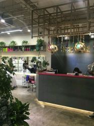 -木北护肤造型