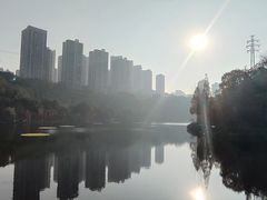 -重庆彩云湖湿地公园