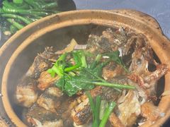 老姜沙窝啫大鱼头-粤·向群饭店(龙津东路总店)