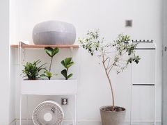 大堂-Onirii Coffee(长乐路店)