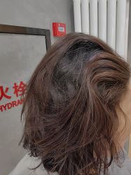 -宝诗护肤造型