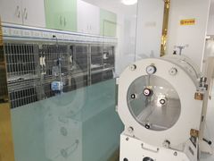 -汪喵宠物医院·骨科心脏影像·犬猫急重症ICU诊疗中心(成华分院)