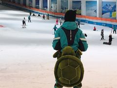 -绍兴启迪乔波冰雪世界