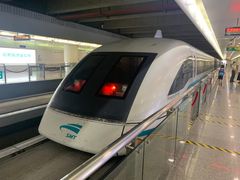 -龙阳路磁悬浮列车总站-停车场