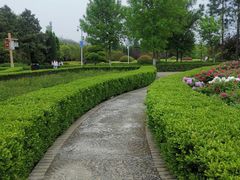 -洛阳市隋唐城遗址植物园