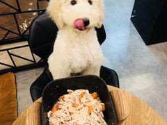 -小尾巴宠物店(万科·金域华庭店)