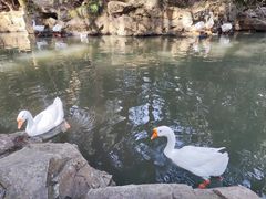 -兰亭风景区