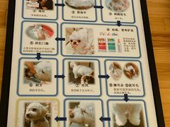 -奈斯宠物医院·核磁CT·异宠专科·内镜(中南店)