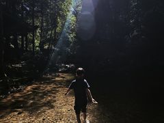 -江西阳明山国家森林公园