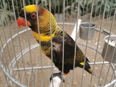 -南宫五洲植物乐园