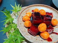 本帮单枞红烧肉-梅花境(万科店)