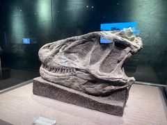 -自贡恐龙博物馆