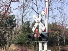 -合肥滨湖国家森林公园