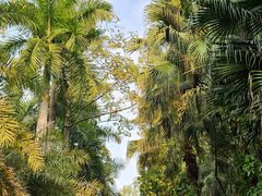 -南宁南湖公园