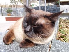 -甜嘟嘟烘焙坊(舒城路店)