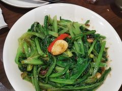 豆豉鲮鱼煮油麦菜-新旺茶餐厅(嘉里城店)