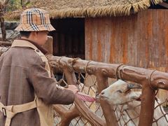 -佛冈森波拉度假区