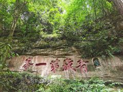 -青城山