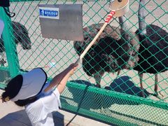 -新疆天山野生动物园