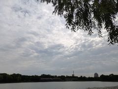 -长广溪湿地公园