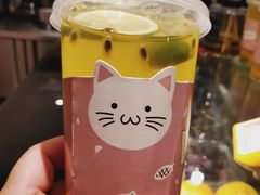 -浣熊柯尔鸭土拨鼠·电玩咖
