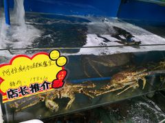-蚝专家(北滘店)