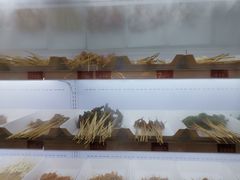 -马路边边串串香(一匡街店)
