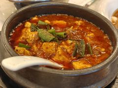-陈麻婆豆腐总店