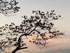 -小南山公园