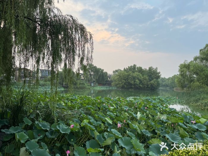 芙蓉花月子会所(朝阳区店)图片