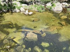 -洛阳白云山景区